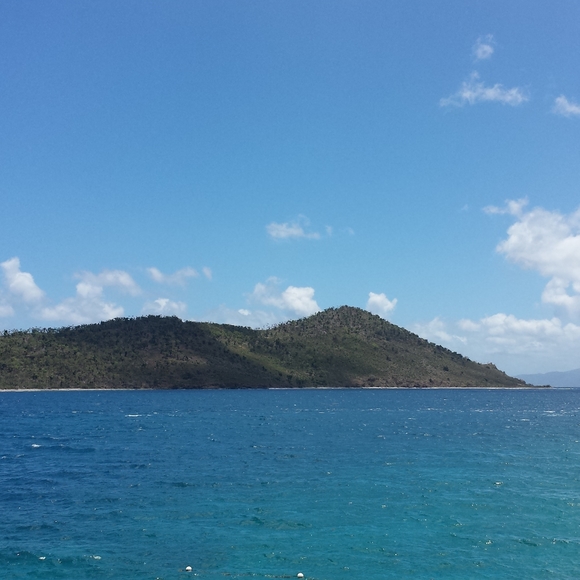 Meet your Posher, Amy - Picture 4 of 4